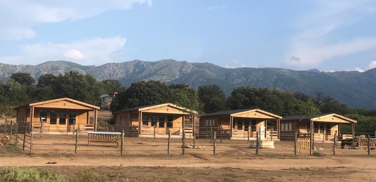 Les Chalets De Tesa Occhiatana Buitenkant foto