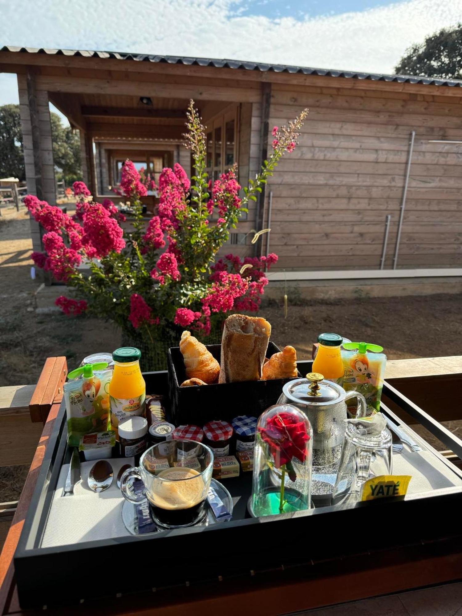 Les Chalets De Tesa Occhiatana Buitenkant foto